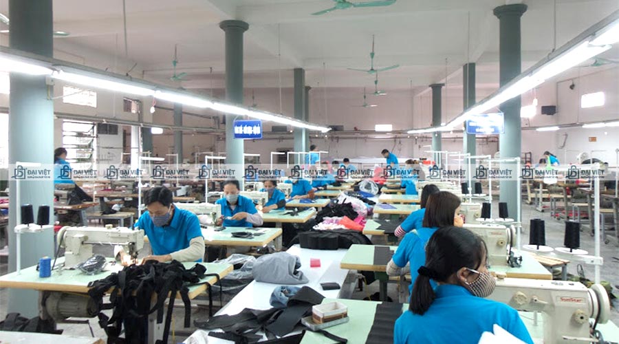 Đội ngũ công nhân viên giàu kinh nghiệm tại Đại Việt Đội ngũ công nhân viên giàu kinh nghiệm tại Đại Việt