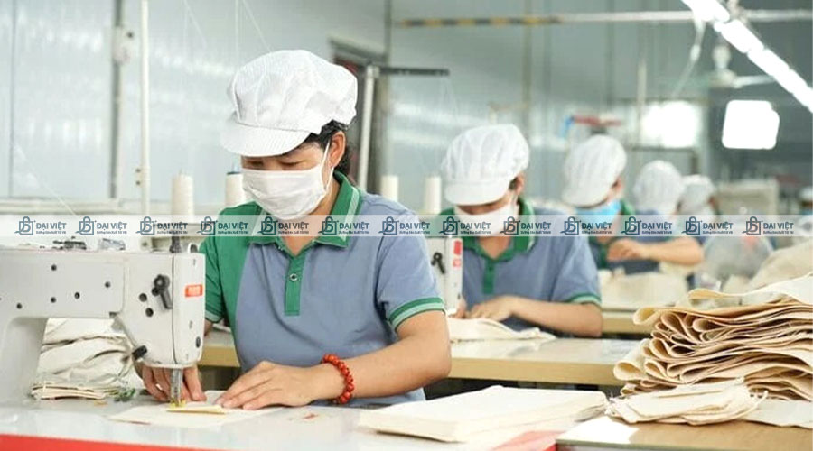 Đội ngũ công nhân viên giàu kinh nghiệm tại Đại Việt Đội ngũ công nhân viên giàu kinh nghiệm tại Đại Việt