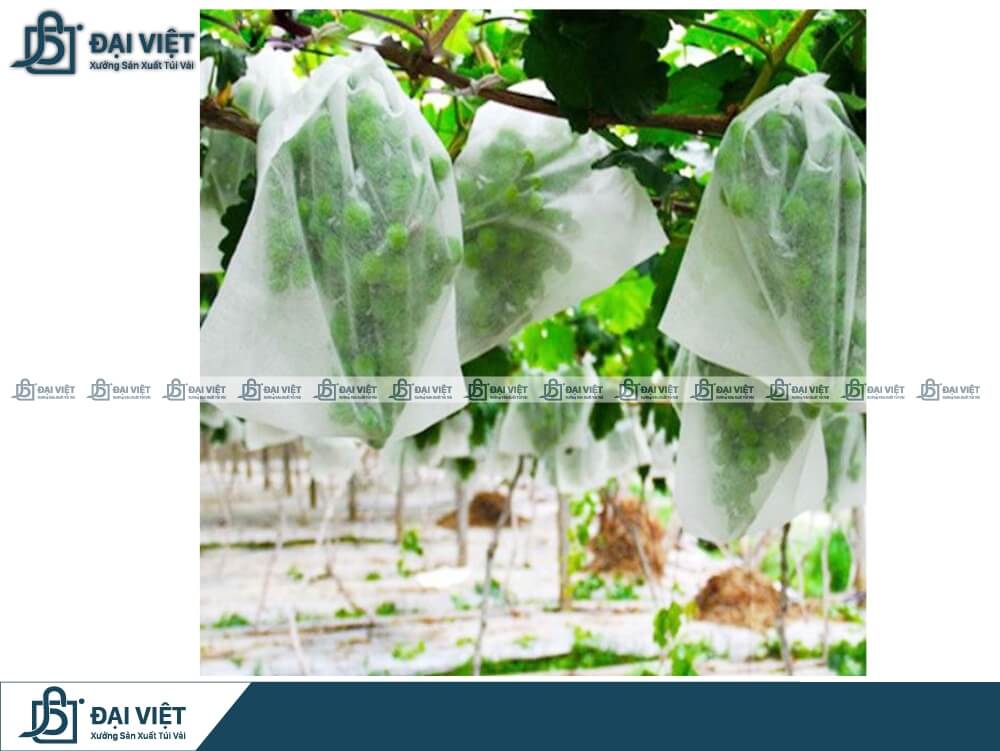 Túi vải không dệt bọc trái cây xuất khẩu
