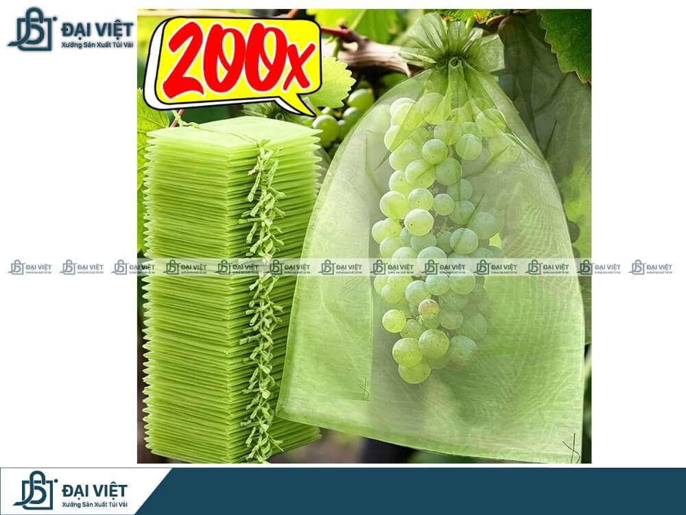 Túi vải không dệt bọc trái cây theo yêu cầu
